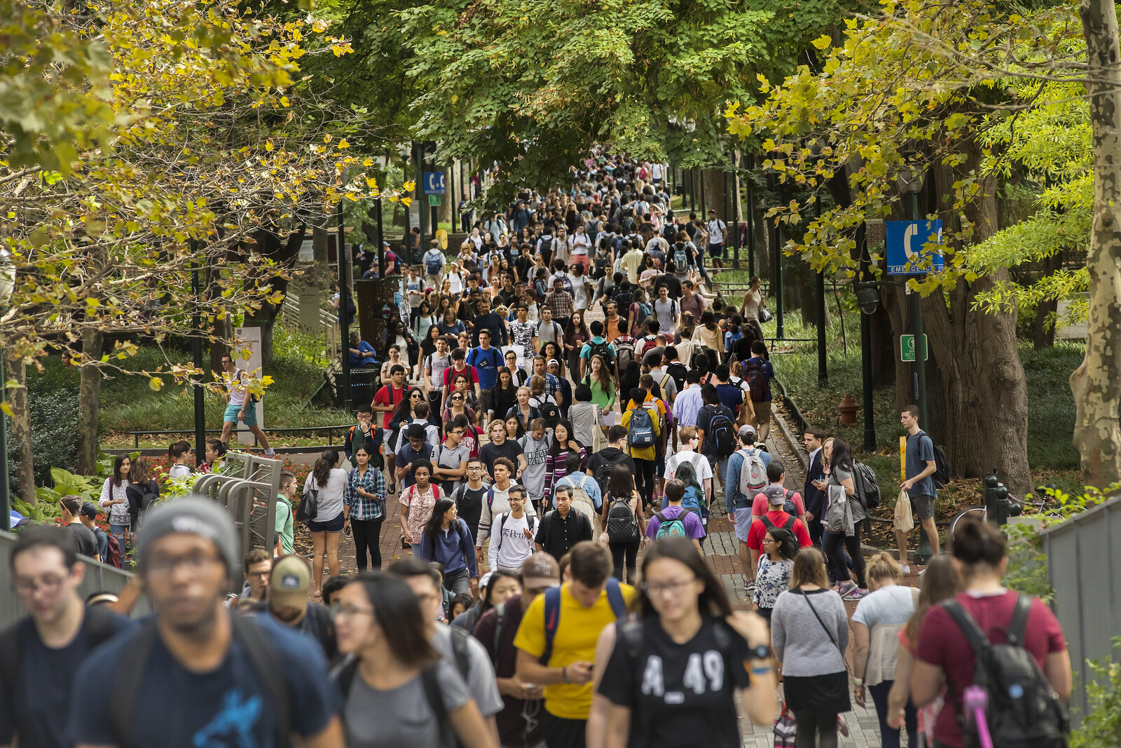 A very crowded view of students on Locust Walk